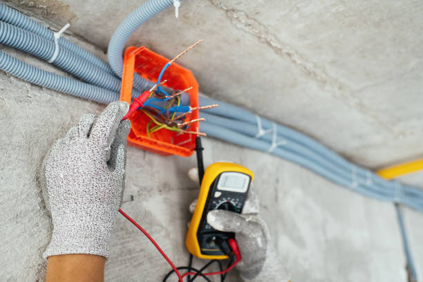 Best Electric Panel Repair  in Brentwood, MD